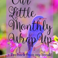 Our Little Monthly Wrap-Up